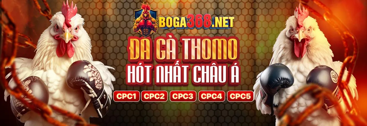 Hình ảnh chọi gà tại MCW88