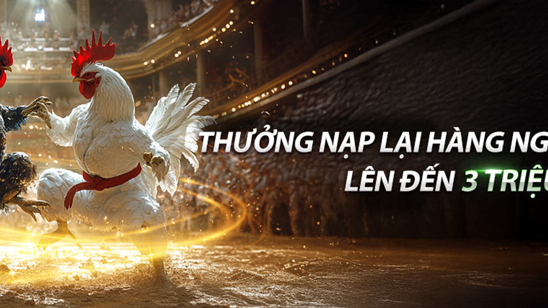 Sân đấu đá gà trực tuyến sôi động tại MCW88