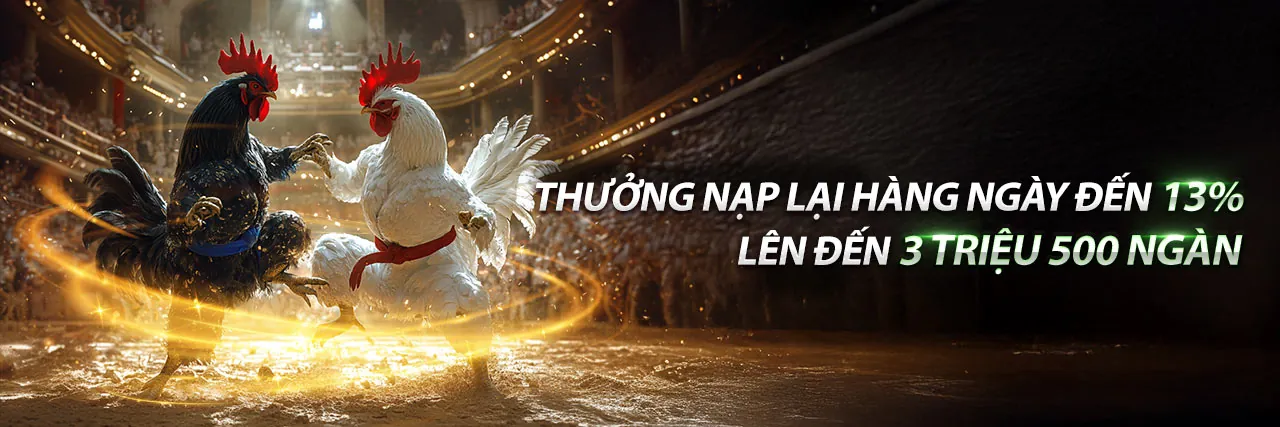 Đấu trường đá gà trực tuyến sôi động tại MCW88