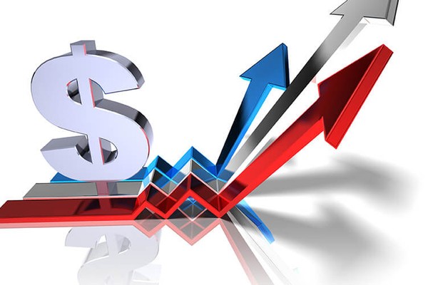 Giao diện thống kê dữ liệu chọi gà trên MCW88