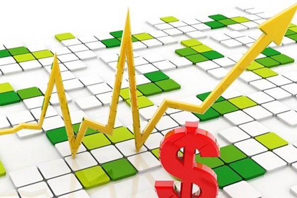 Gà chọi đang được phân tích dữ liệu