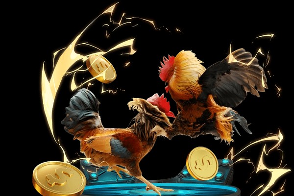 Đá gà trực tuyến độc đáo