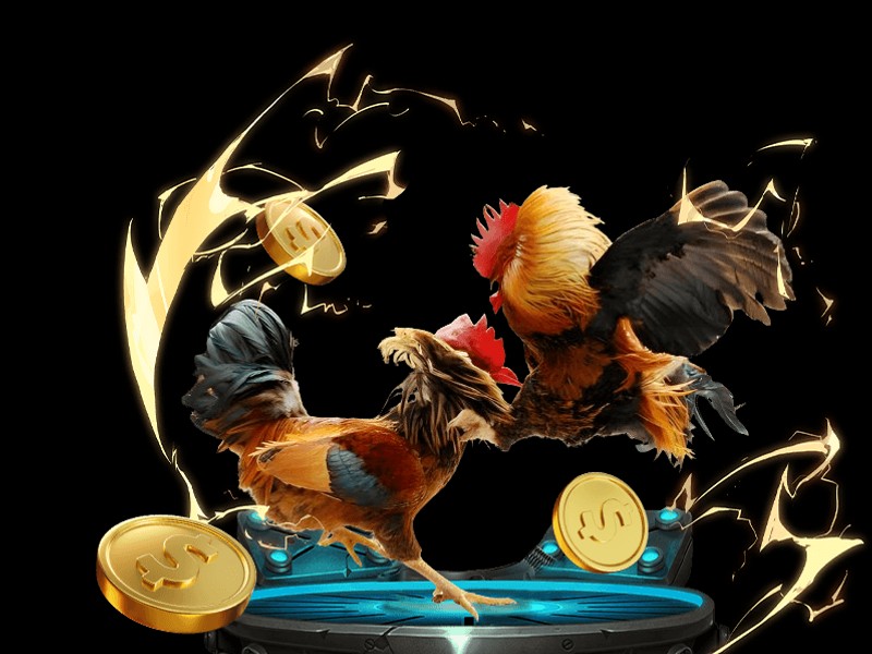 Đá Gà Trực Tuyến